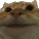 YES
