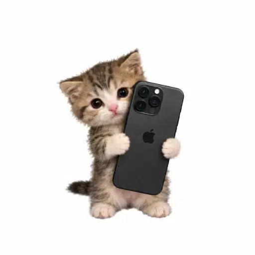 iFone