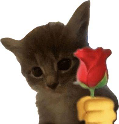 ily