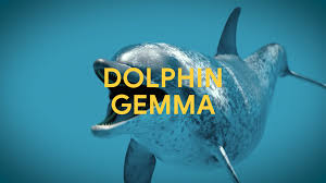 GEMMA