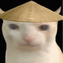 neow