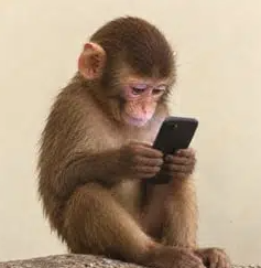 IFONE