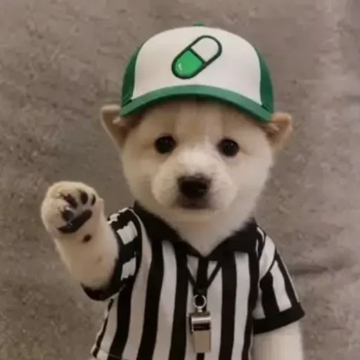 ref