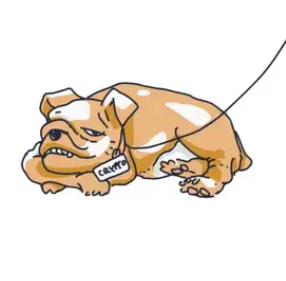 crypto